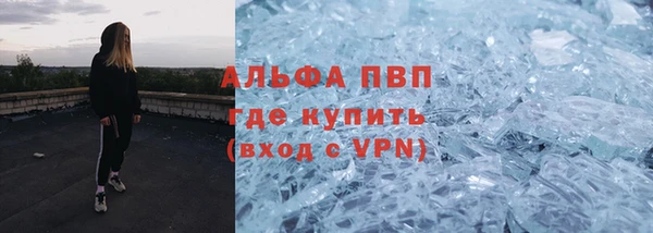 дмт Каменка