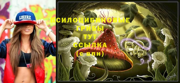 молекула духа Абдулино