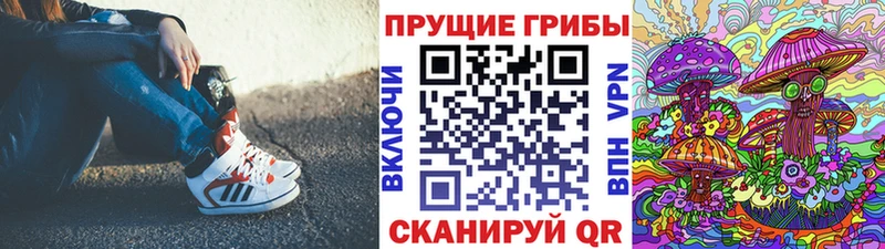 что такое   Астрахань  Псилоцибиновые грибы прущие грибы 